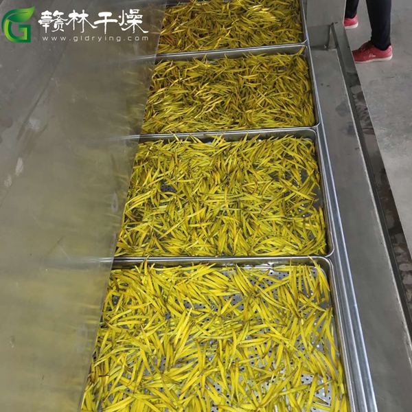 微信图片_202007122117302_副本