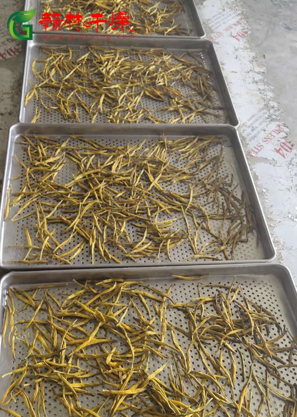 微信图片_20200712211734_副本