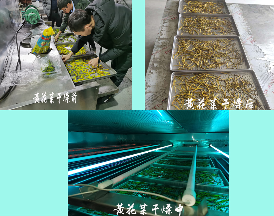 中波红外线干燥机3